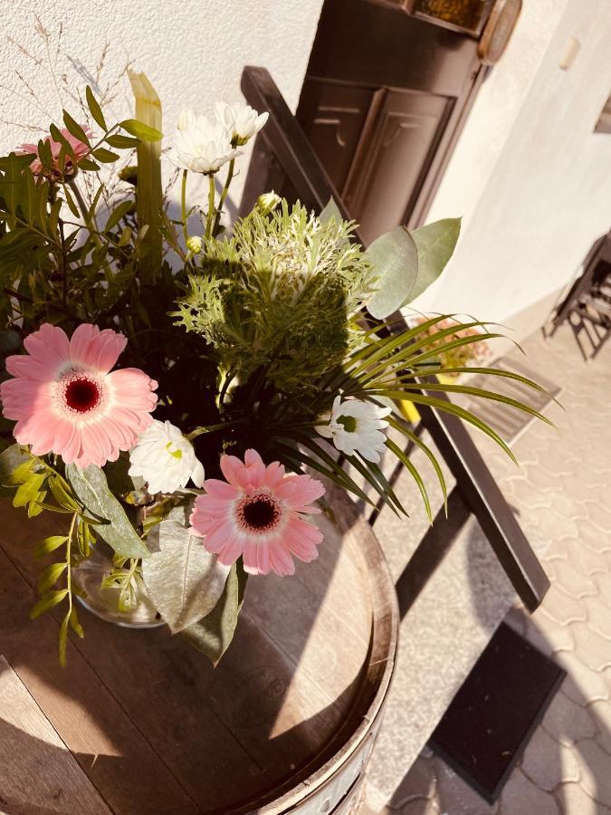 ג'ויס Gaestehaus Auer Fritzi מראה חיצוני תמונה